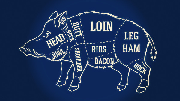 wild boar