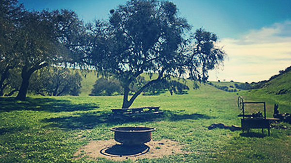 california landscape