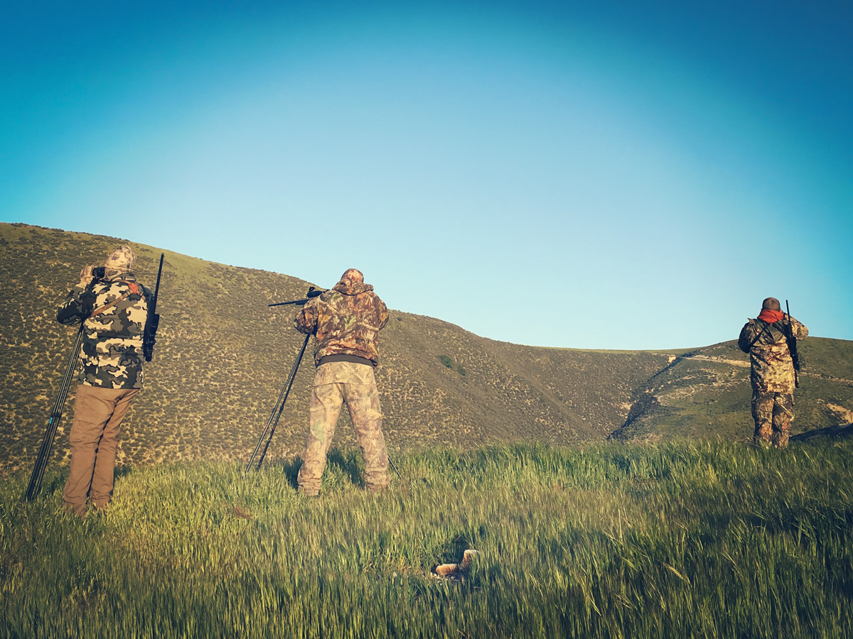 Hunting Guide California
