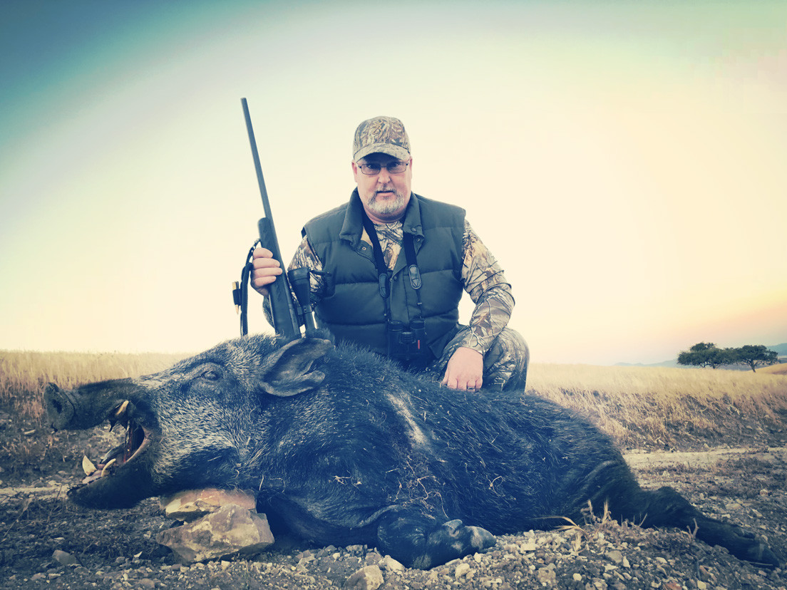 Wild Pig Hunting in California