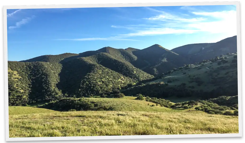 landscape with hills in California for private guided hunts