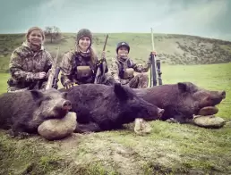 Guided Wild Pig Hunting in California