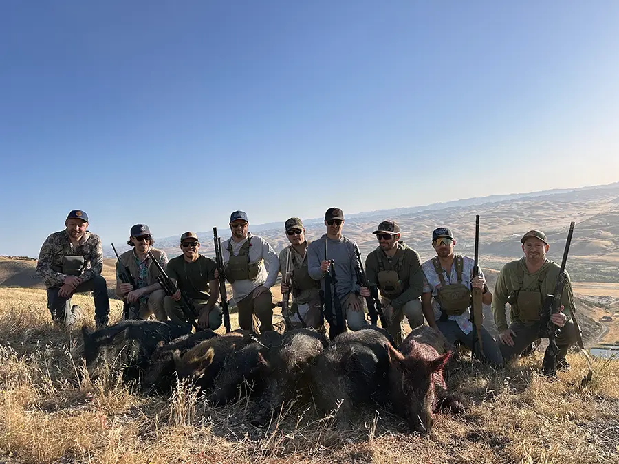 How to Start Hunting in California
